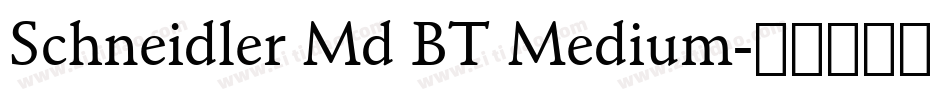 Schneidler Md BT Medium字体转换
